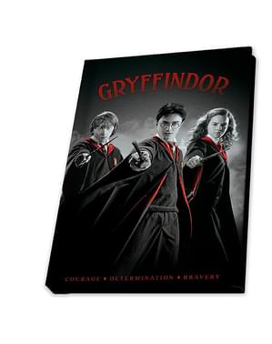 HARRY POTTER - PACK BUFANDA GRYFFINDOR, GAFAS Y MAPA