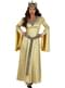 Lady Guinevere  Kostüm Deluxe für Damen