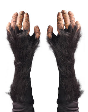 Šimpanzove dlani za odrasle