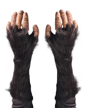 Ruky dospelého šimpanza