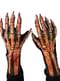 Gants avec mains de squelettes adulte