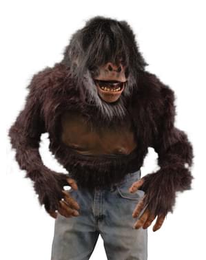 Top chimpans för vuxen