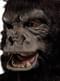 Adult's Deluxe Gorilla Mask