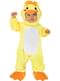 Chick Costume for Babies
