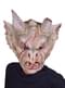 Gargoyle Mask fyrir fullorðna