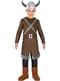 Viking Costume for Boys