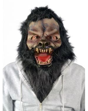 Col poils gris adulte