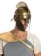Spartan Helmet for Adults