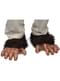 Pieds Chimpanzé adulte