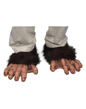 Pieds Chimpanzé adulte