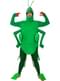 Grasshopper Costume for Adults