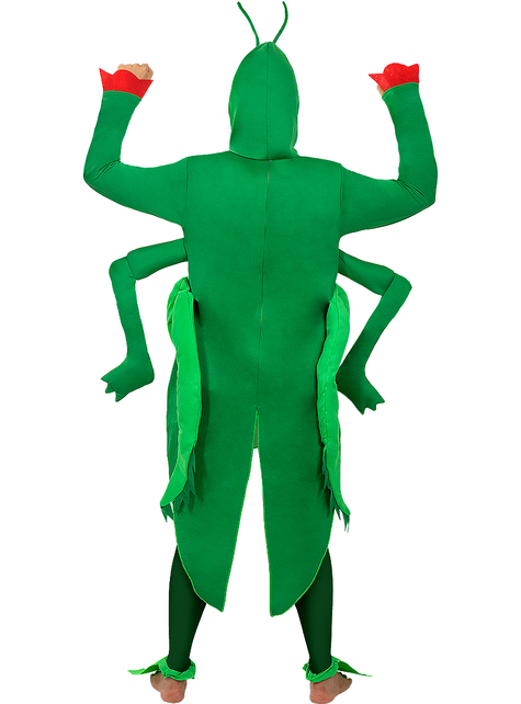 Grasshopper Costume for Adults