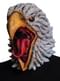 Felnőtt Shrill Eagle maszk