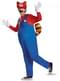 Déguisement Mario Racoon adulte