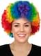 Regenboog Clown Pruik