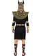 Déguisement Anubis pour homme grande taille