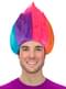 Rainbow Wig - Trolls