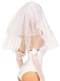 Bridal Veil with Bow for Women