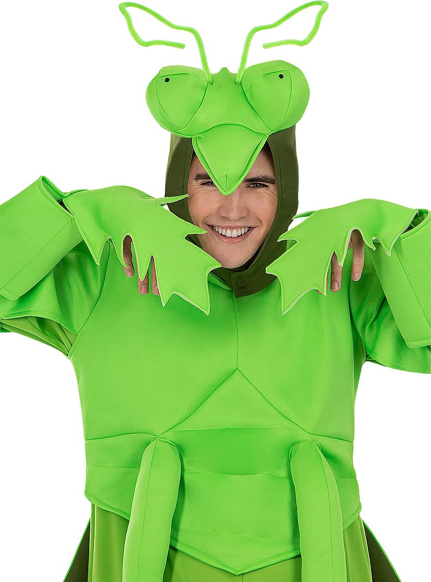Maskeraddräkt bönsyrsa