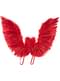 Alas de plumas roja