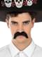 Mexican Moustache