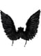 črna angelska krila 
