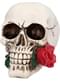 Calavera decorativa México