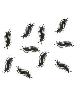 10 Decorative Centipedes