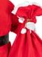 Santa Claus Sack