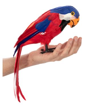 Пиратски папагал