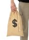 Money Bag