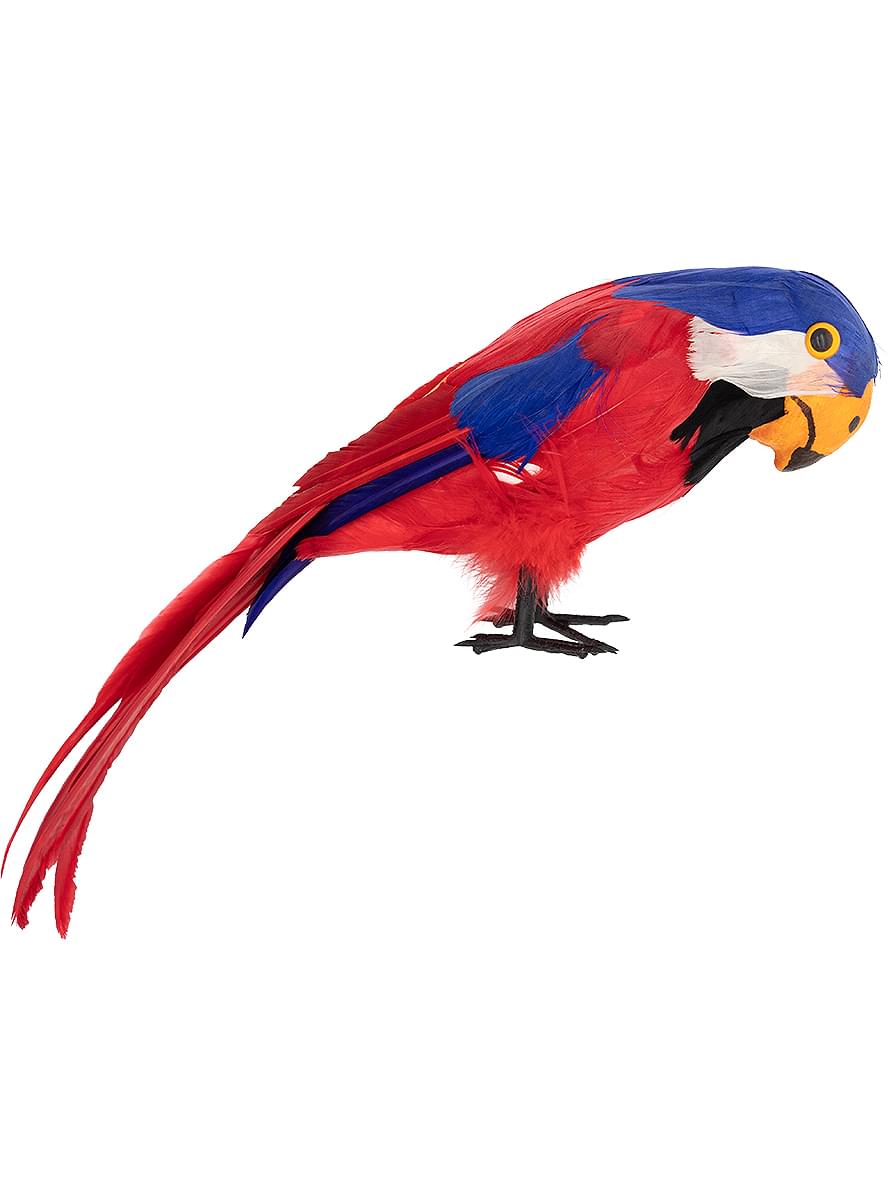 Piraadi Papagoid