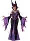Women's Plus Size Dark Queen Costume