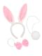 Set accessoires lapin