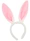 Set accessoires lapin