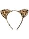 Leopard set dodatkov
