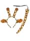 Kit accesorios de jirafa