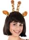 Giraffe Accessory Kit