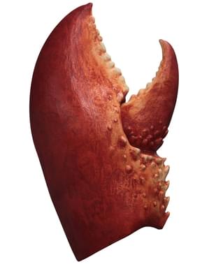 Pince crabe adulte