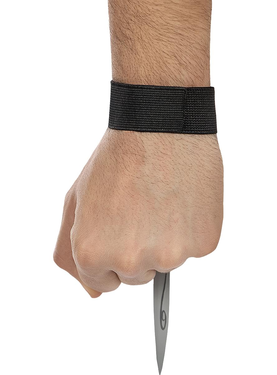Assassin's Creed veitsi
