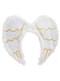 White and Gold Angel Wings
