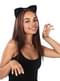 Cat Ears