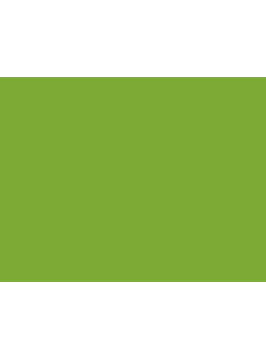 1 лимонно-зелений скатертину - Однотонні кольори