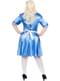 Alice Costume for Women Plus Size