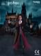 Deluxe Hermione Granger Jelmez Lányoknak