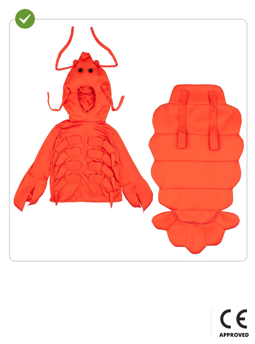 Lobster Costume for Kids