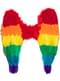 Ailes arc-en-ciel multicolores