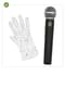Michael Jackson Microphone and Glove