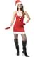 Costume sexy da Babbo Natale per donna