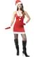 Sexy Mrs Claus Costume for Women